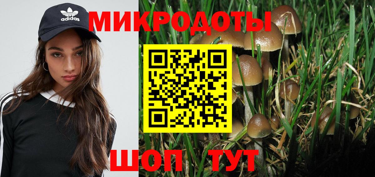 Псилоцибиновые грибы GOLDEN TEACHER  Псилоцибиновые грибы ЛСД  Вход с VPN  Калач-на-Дону 